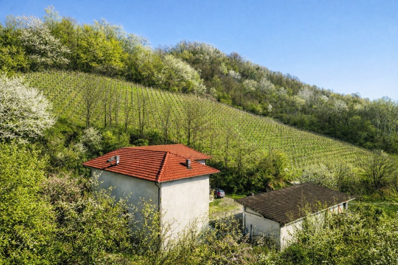 Immobiliari nel monferrato - Piedmont Houses