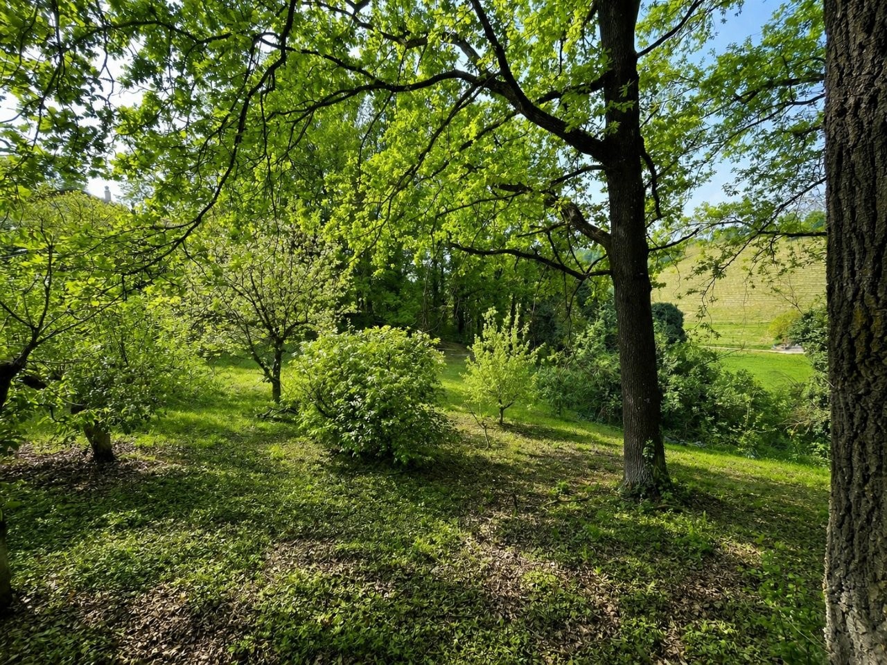 Immobiliari nel monferrato - Piedmont Houses