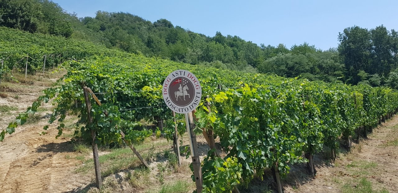 Immobiliari nel monferrato - Piedmont Houses