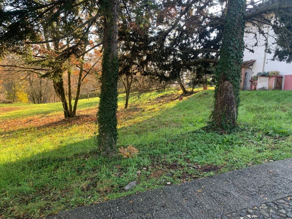 Immobiliari nel monferrato - Piedmont Houses