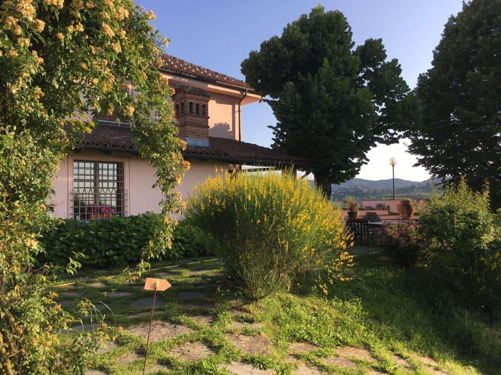 Cassinelle