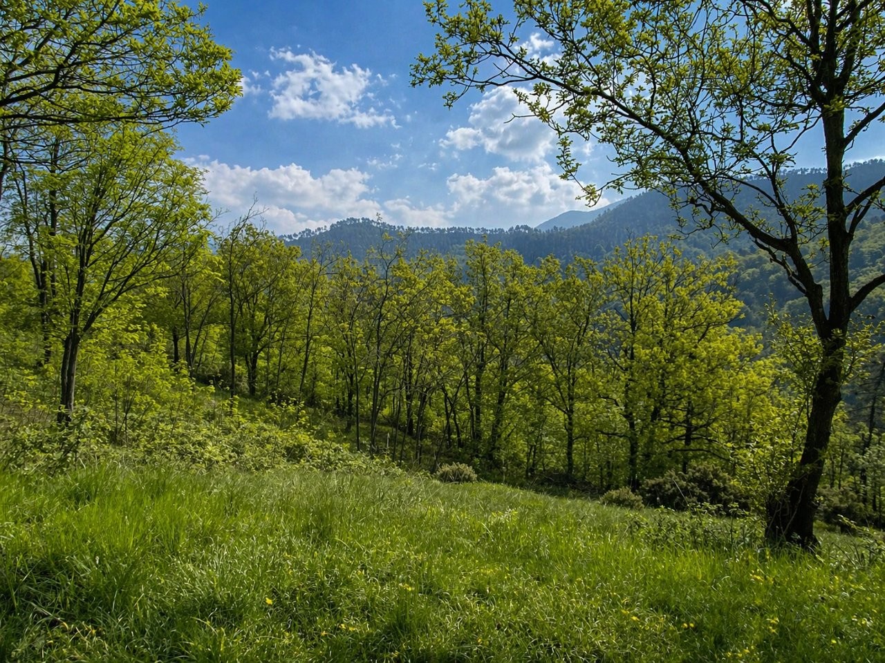 Immobiliari nel monferrato - Piedmont Houses