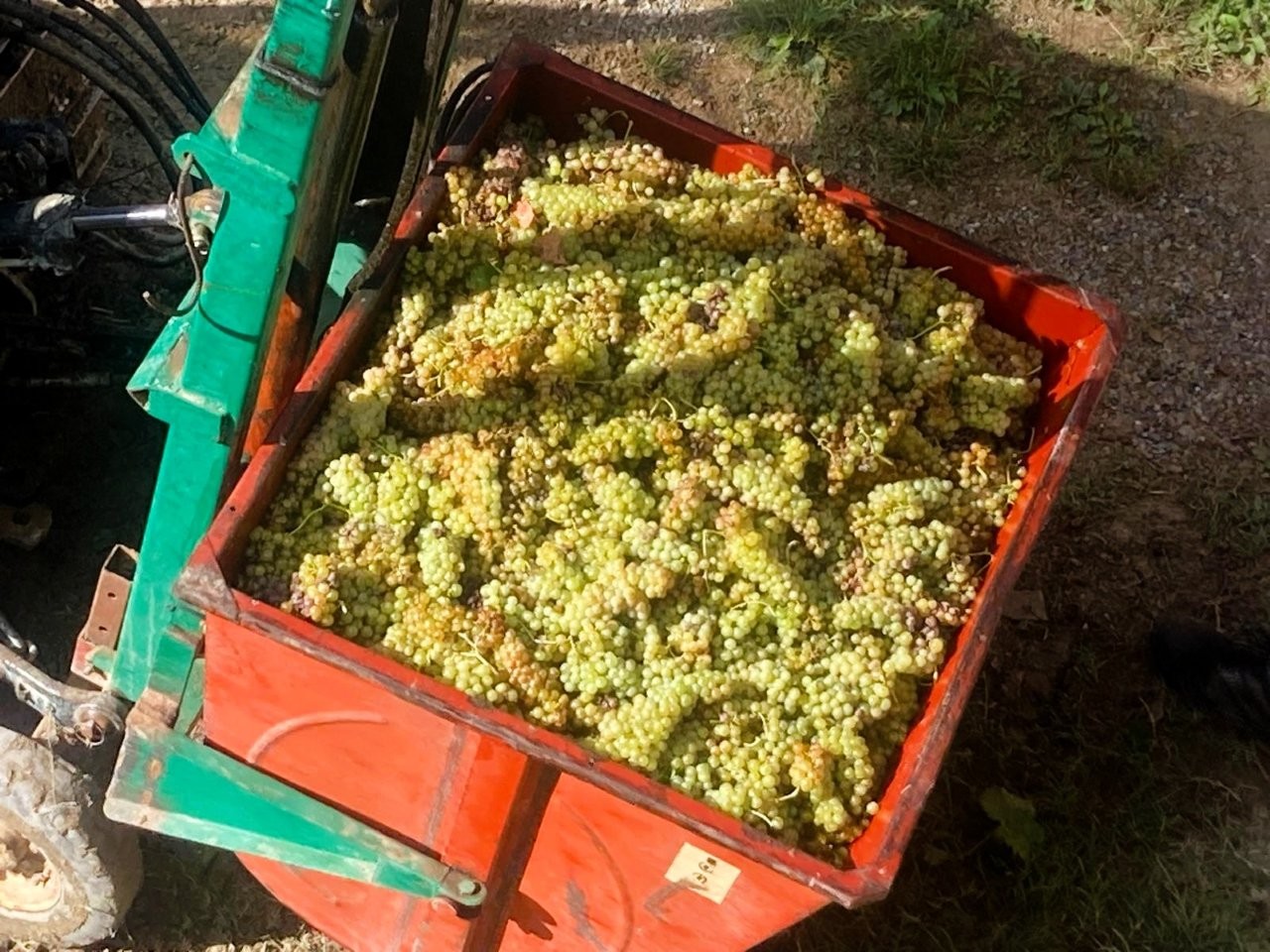 Immobiliari nel monferrato - Piedmont Houses