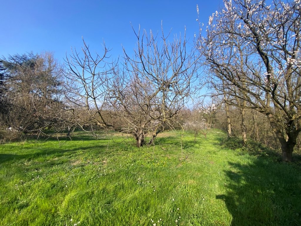 Immobiliari nel monferrato - Piedmont Houses