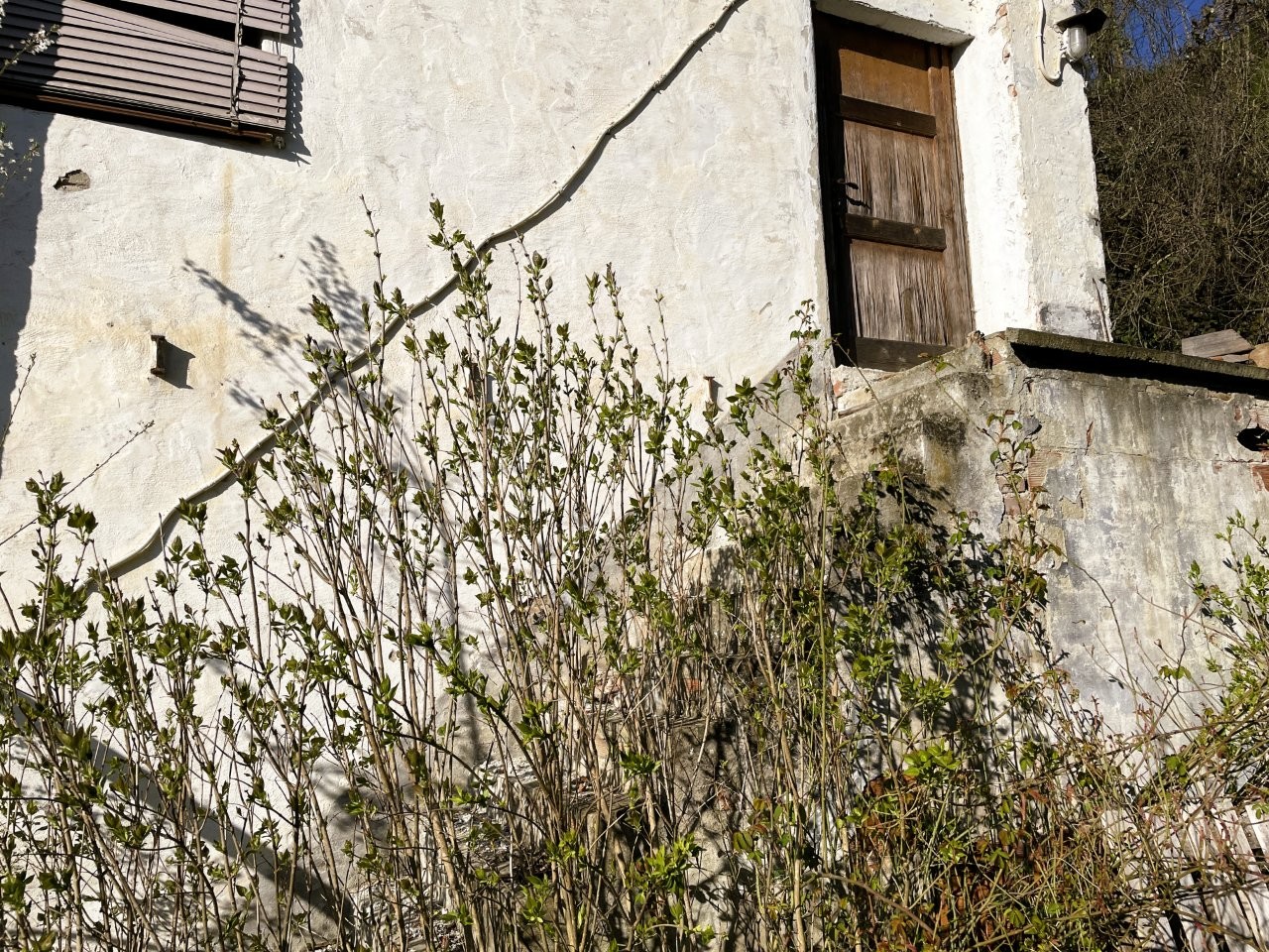 Immobiliari nel monferrato - Piedmont Houses