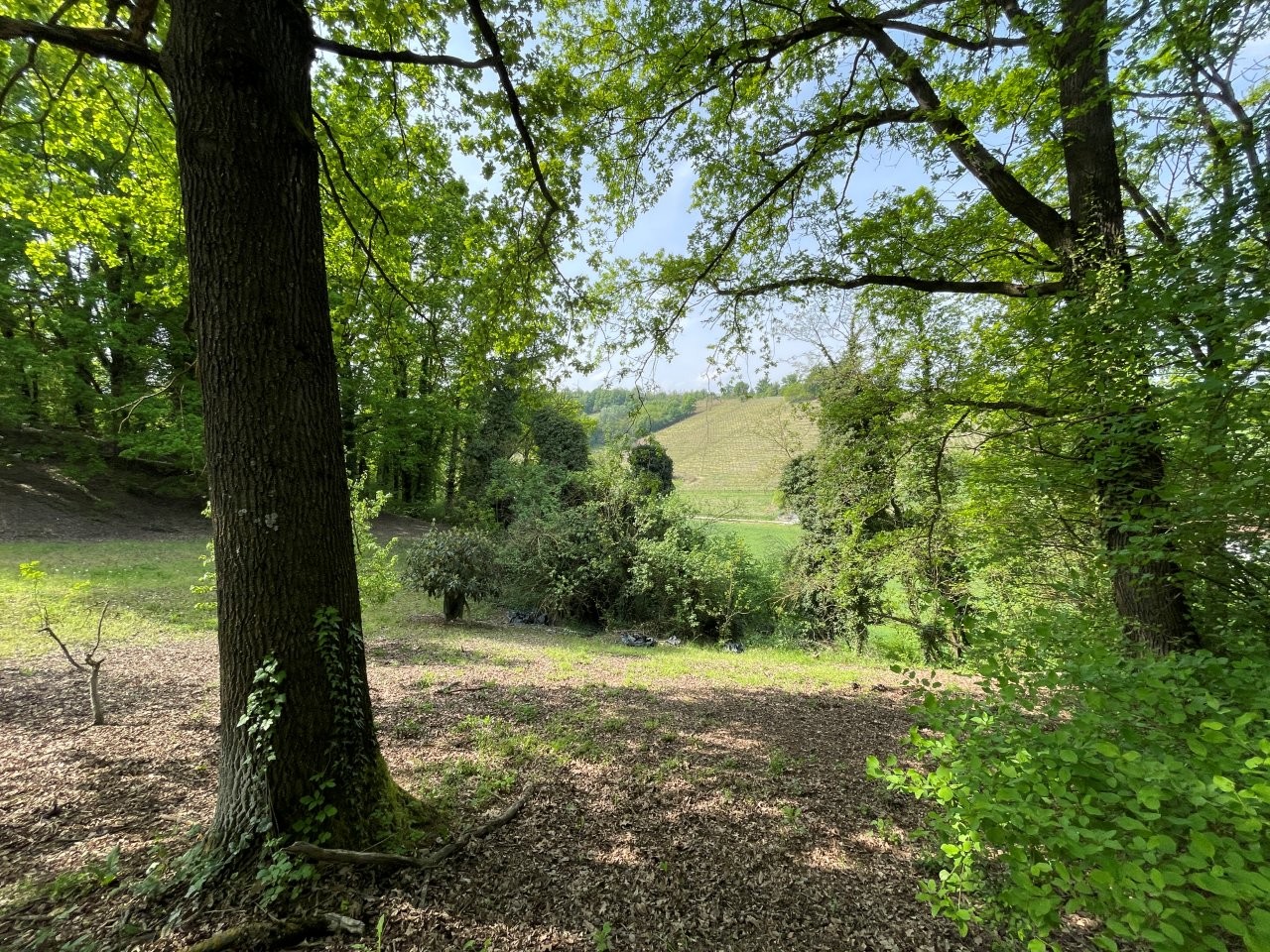 Immobiliari nel monferrato - Piedmont Houses