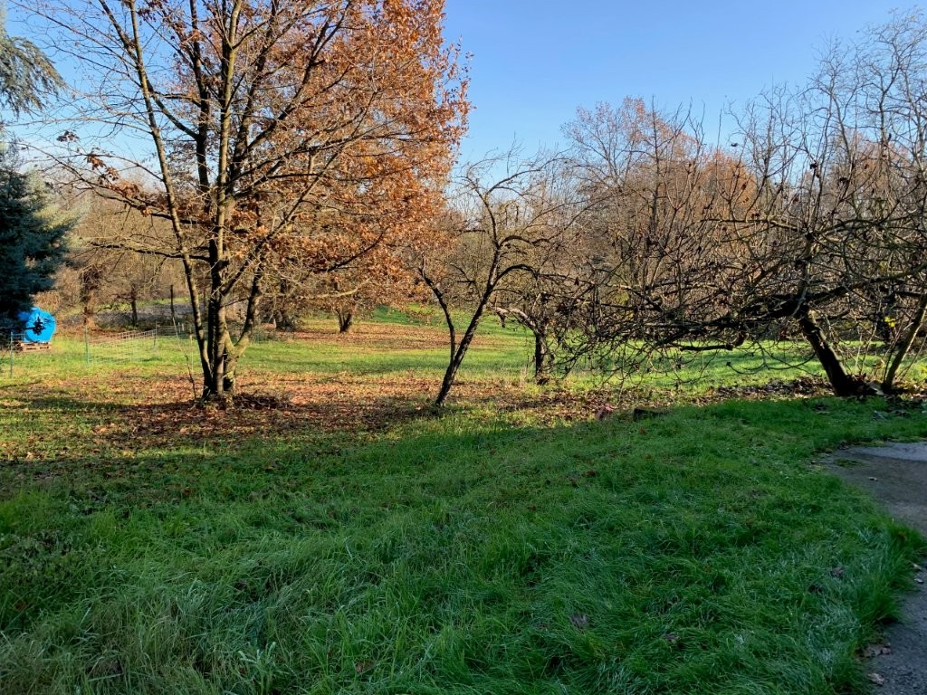 Immobiliari nel monferrato - Piedmont Houses