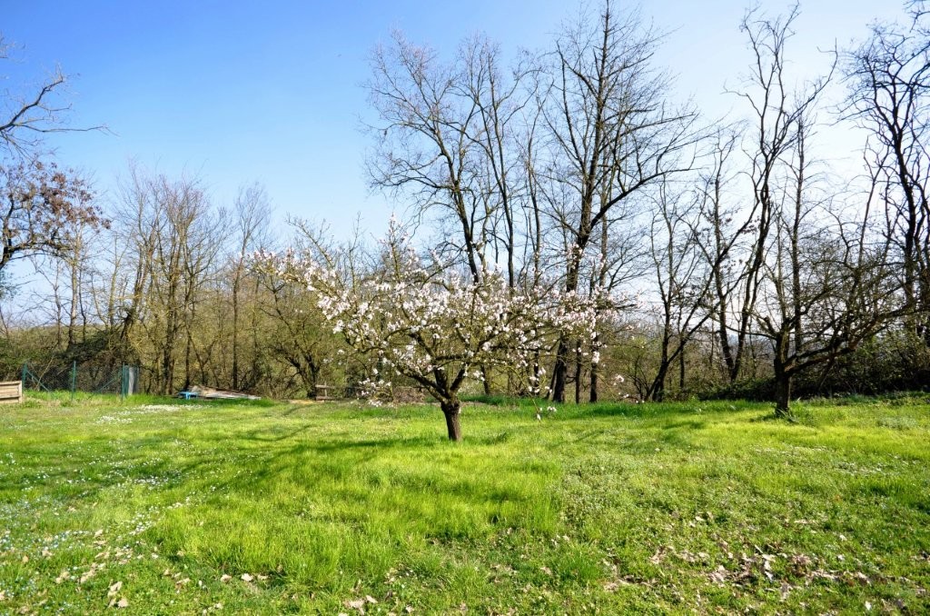 Immobiliari nel monferrato - Piedmont Houses