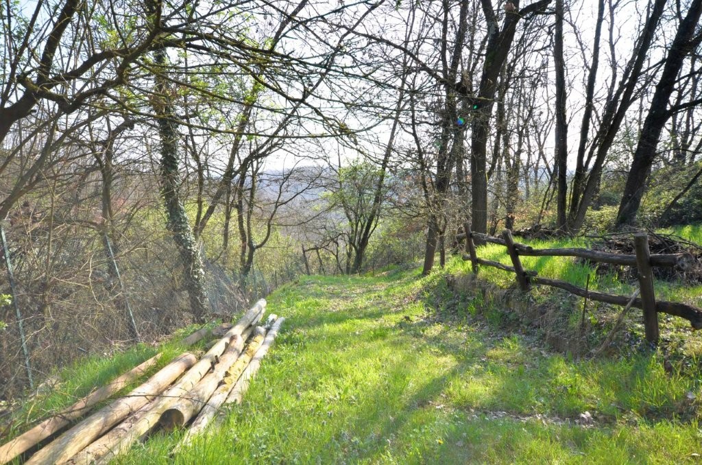 Immobiliari nel monferrato - Piedmont Houses