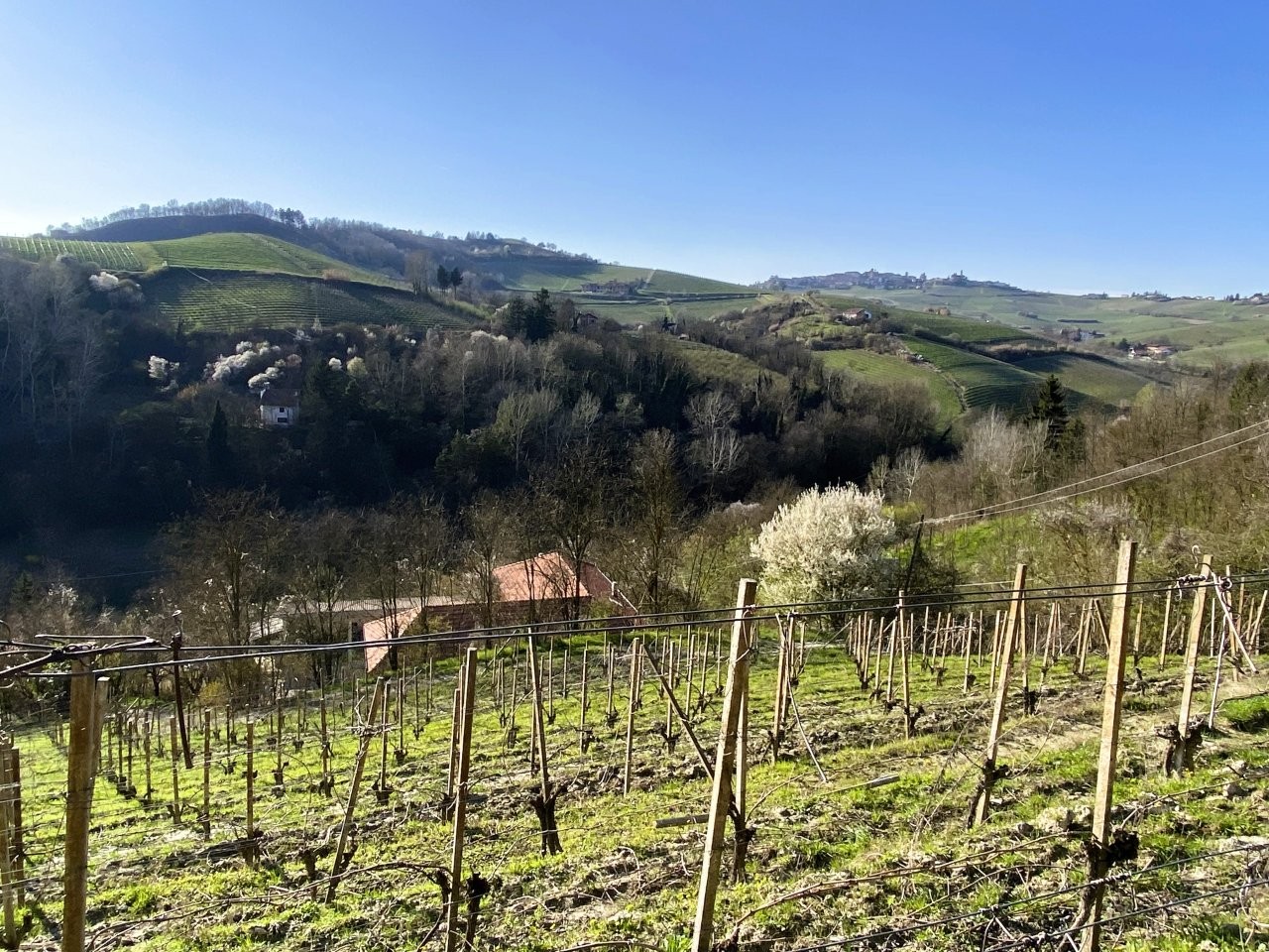 Immobiliari nel monferrato - Piedmont Houses