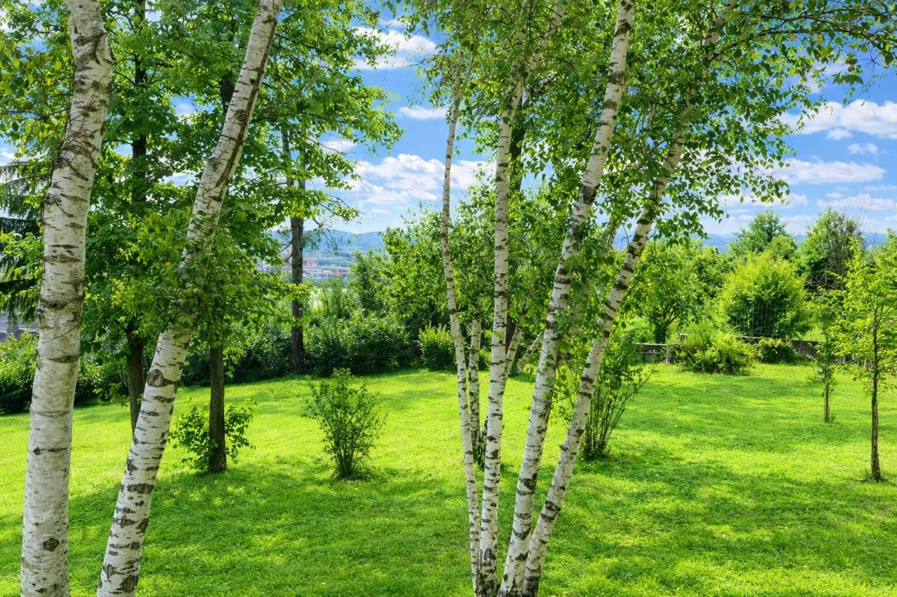 Immobiliari nel monferrato - Piedmont Houses