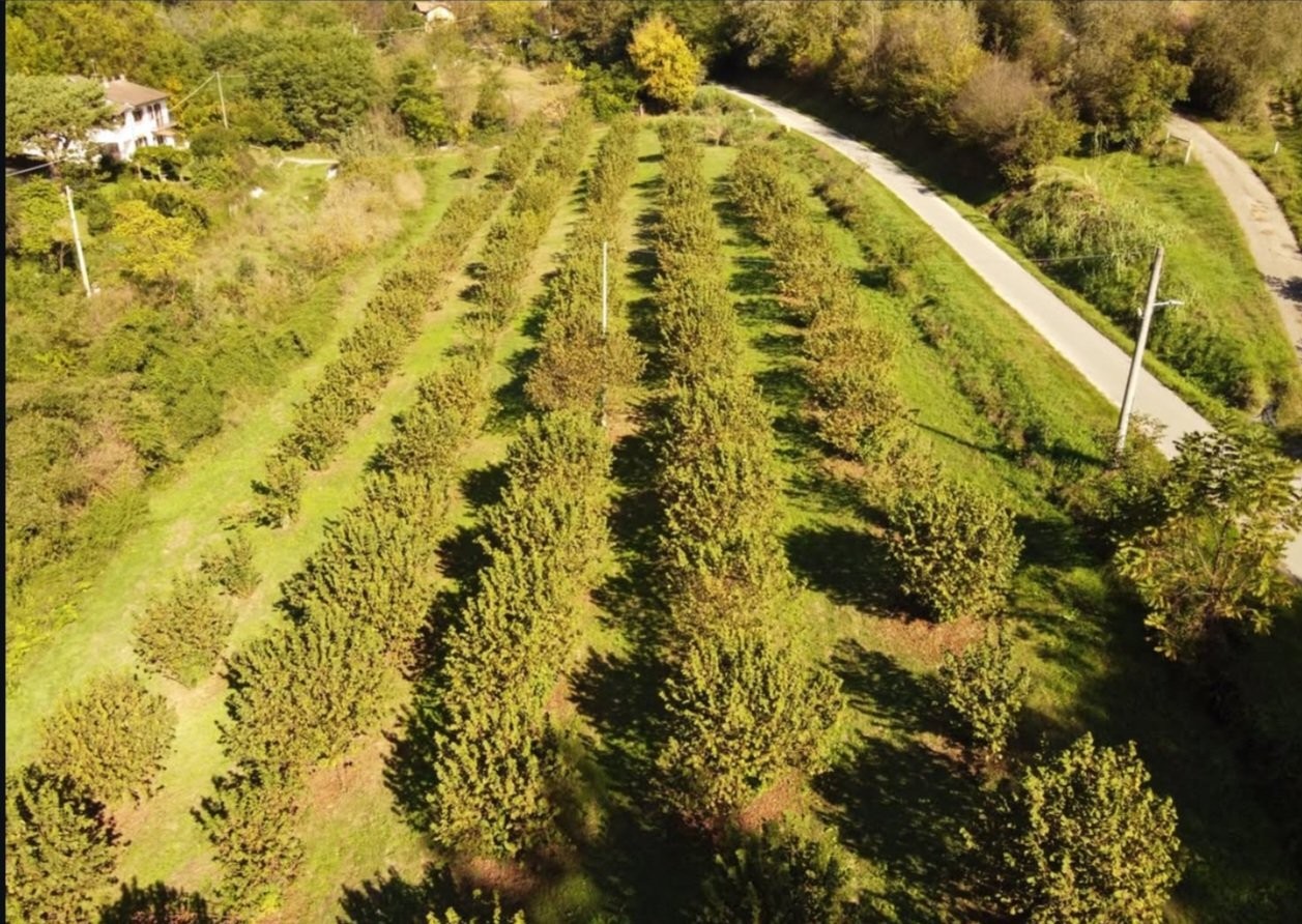 Immobiliari nel monferrato - Piedmont Houses