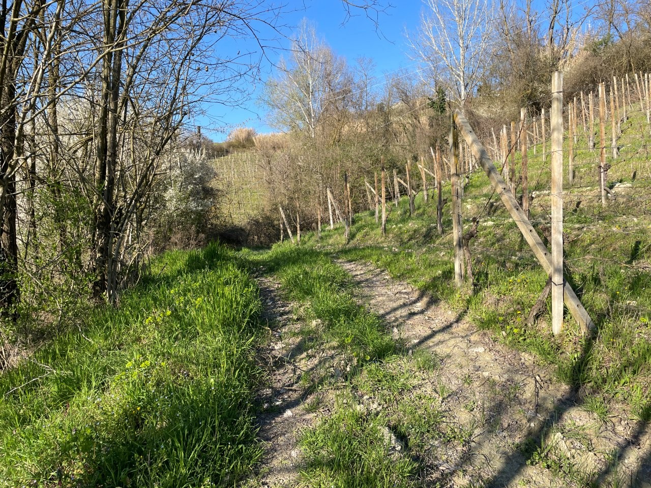Immobiliari nel monferrato - Piedmont Houses