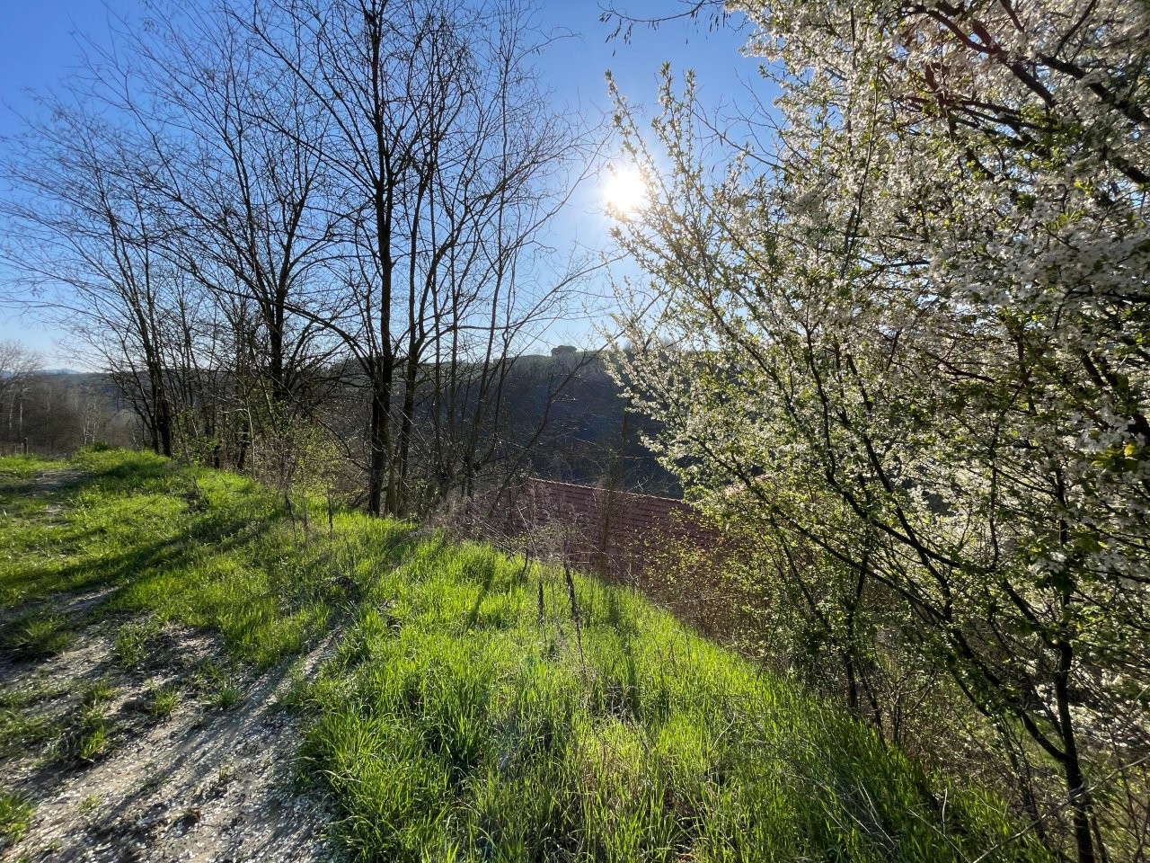 Immobiliari nel monferrato - Piedmont Houses