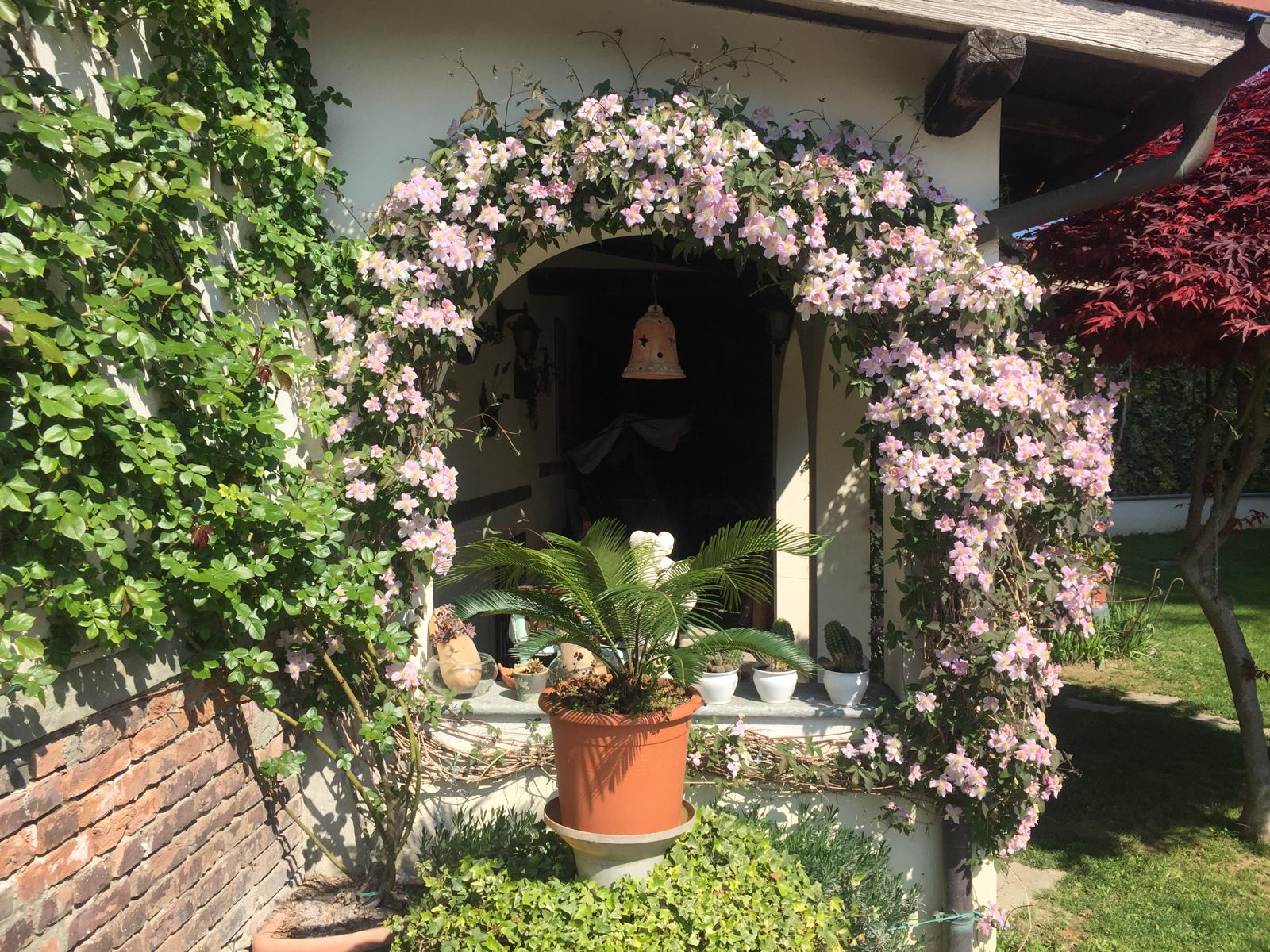 Immobiliari nel monferrato - Piedmont Houses