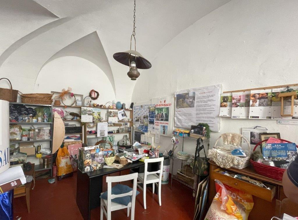 Novi Ligure