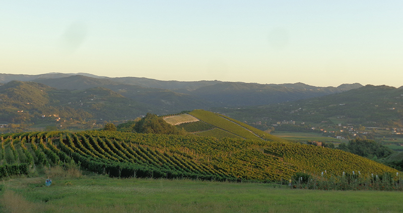 Immobiliari nel monferrato - Piedmont Houses