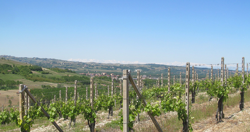 Immobiliari nel monferrato - Piedmont Houses