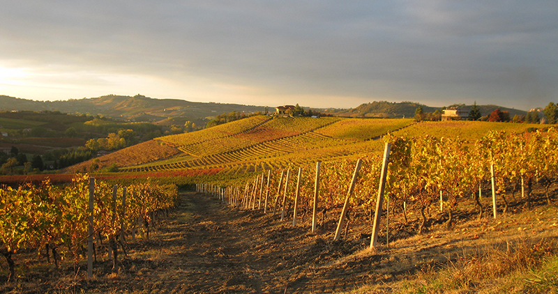 Immobiliari nel monferrato - Piedmont Houses