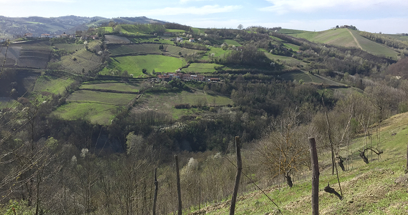 Immobiliari nel monferrato - Piedmont Houses