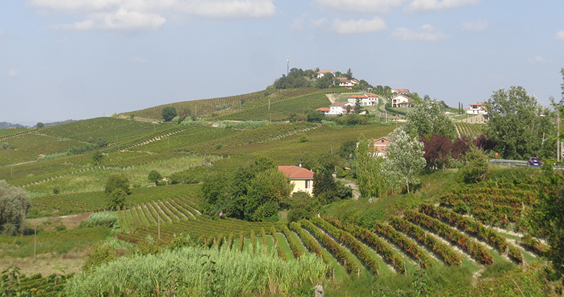 Immobiliari nel monferrato - Piedmont Houses