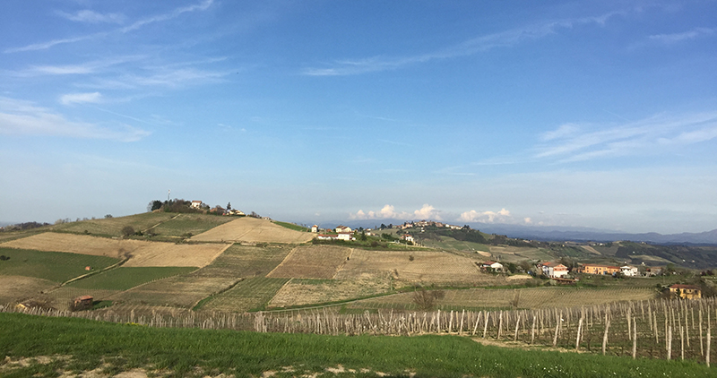 Immobiliari nel monferrato - Piedmont Houses