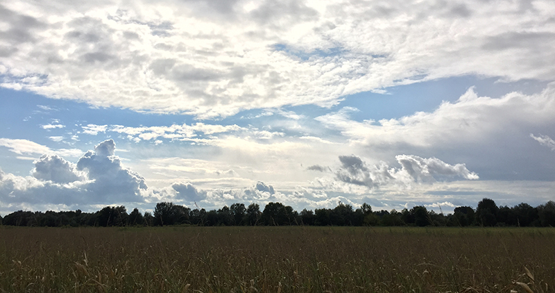 Immobiliari nel monferrato - Piedmont Houses