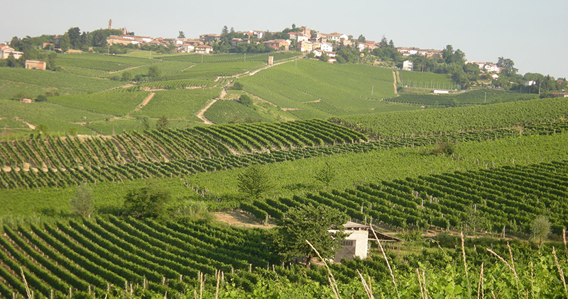 Immobiliari nel monferrato - Piedmont Houses