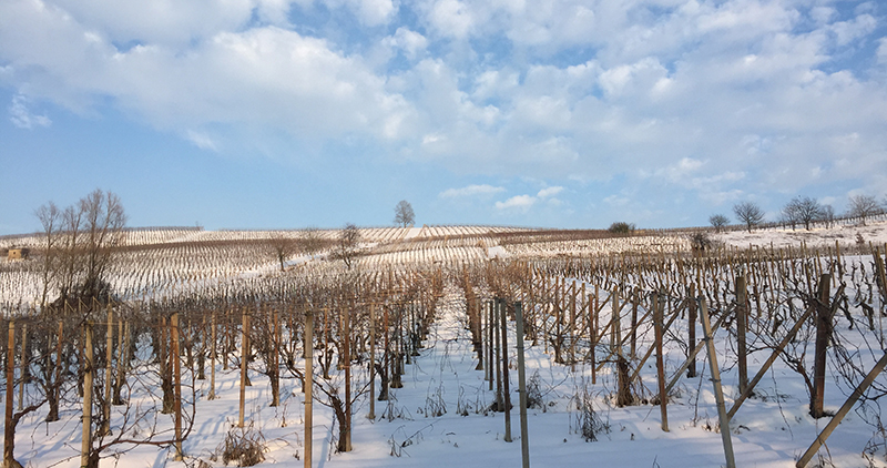 Immobiliari nel monferrato - Piedmont Houses