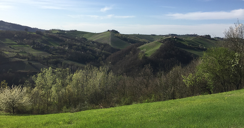 Immobiliari nel monferrato - Piedmont Houses