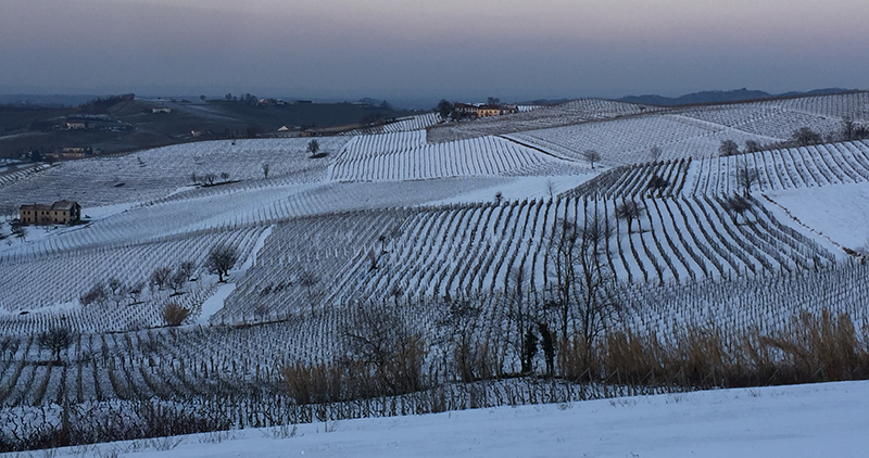 Immobiliari nel monferrato - Piedmont Houses