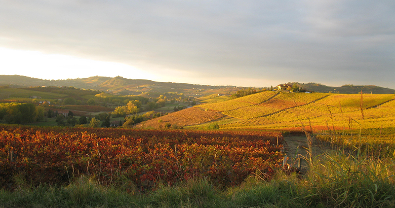 Immobiliari nel monferrato - Piedmont Houses