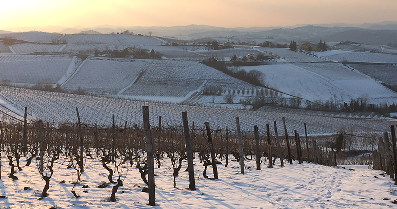 Immobiliari nel monferrato - Piedmont Houses