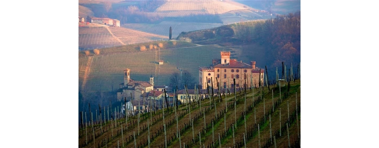 Immobiliari nel monferrato - Piedmont Houses