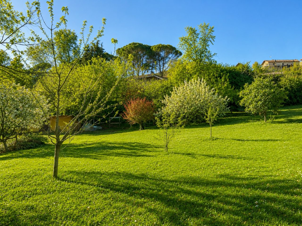 Immobiliari nel monferrato - Piedmont Houses