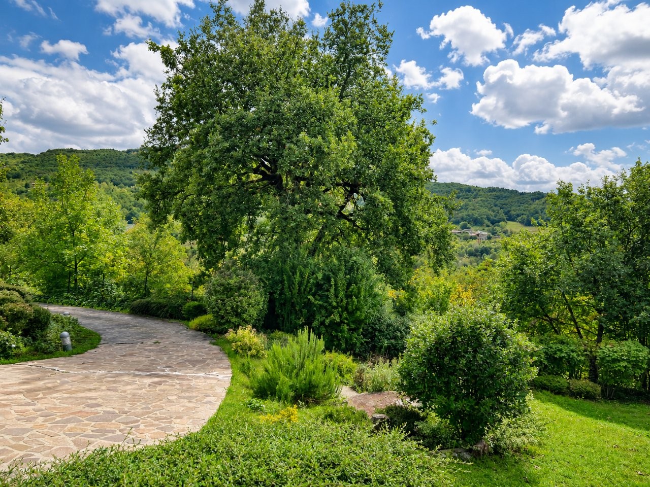 Immobiliari nel monferrato - Piedmont Houses