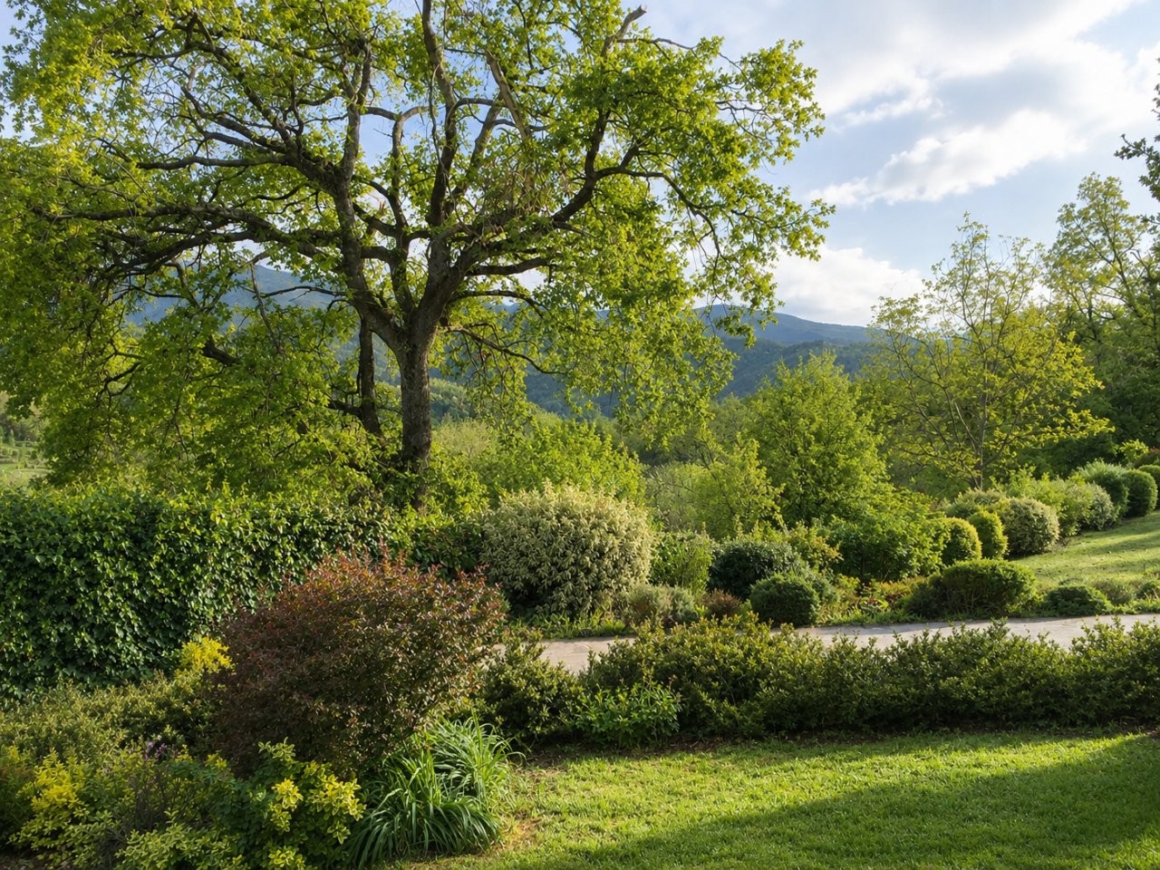 Immobiliari nel monferrato - Piedmont Houses