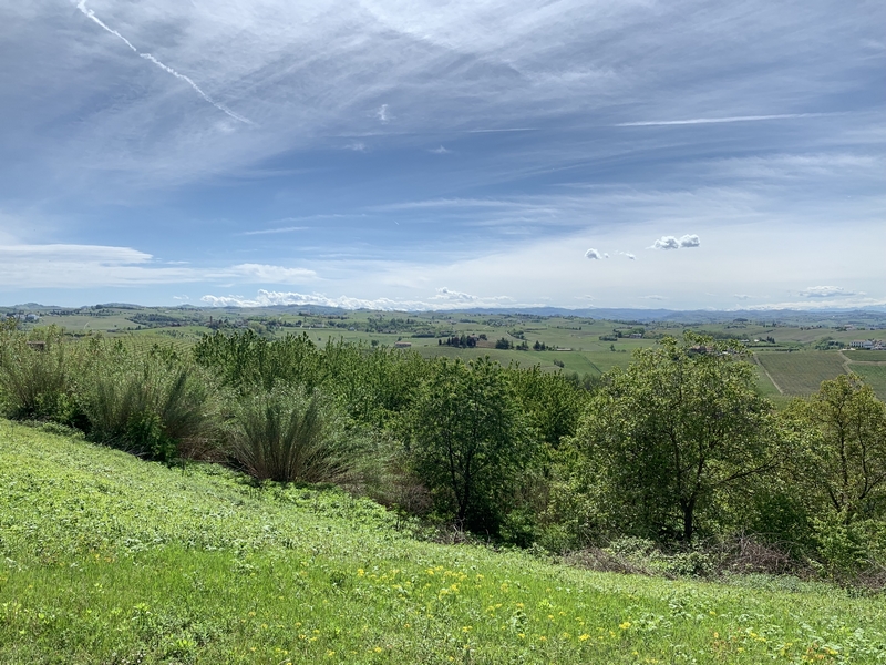 Immobiliari nel monferrato - Piedmont Houses