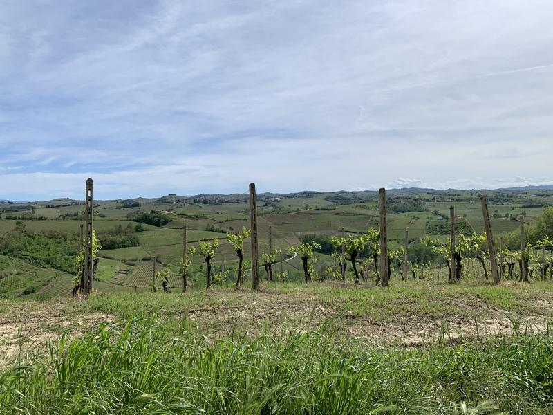 Immobiliari nel monferrato - Piedmont Houses