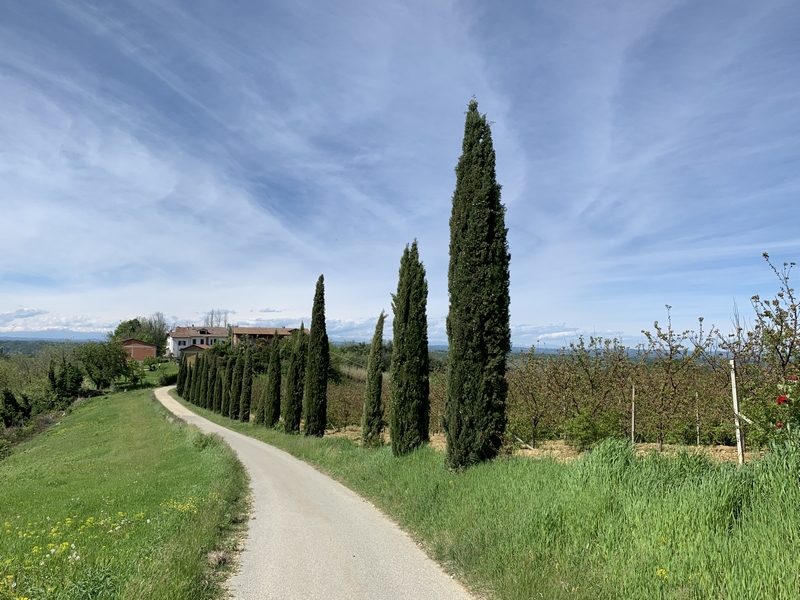 Immobiliari nel monferrato - Piedmont Houses