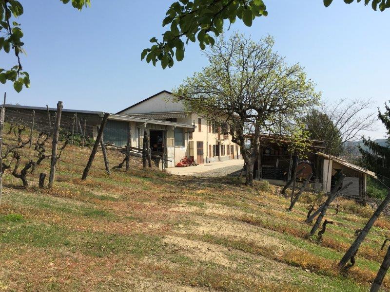 Immobiliari nel monferrato - Piedmont Houses