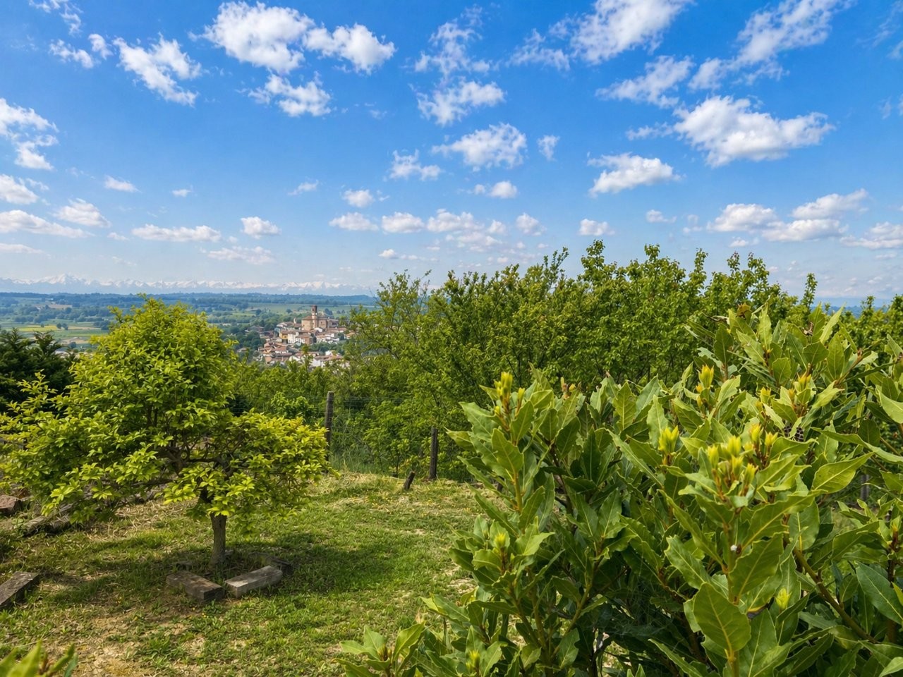 Immobiliari nel monferrato - Piedmont Houses
