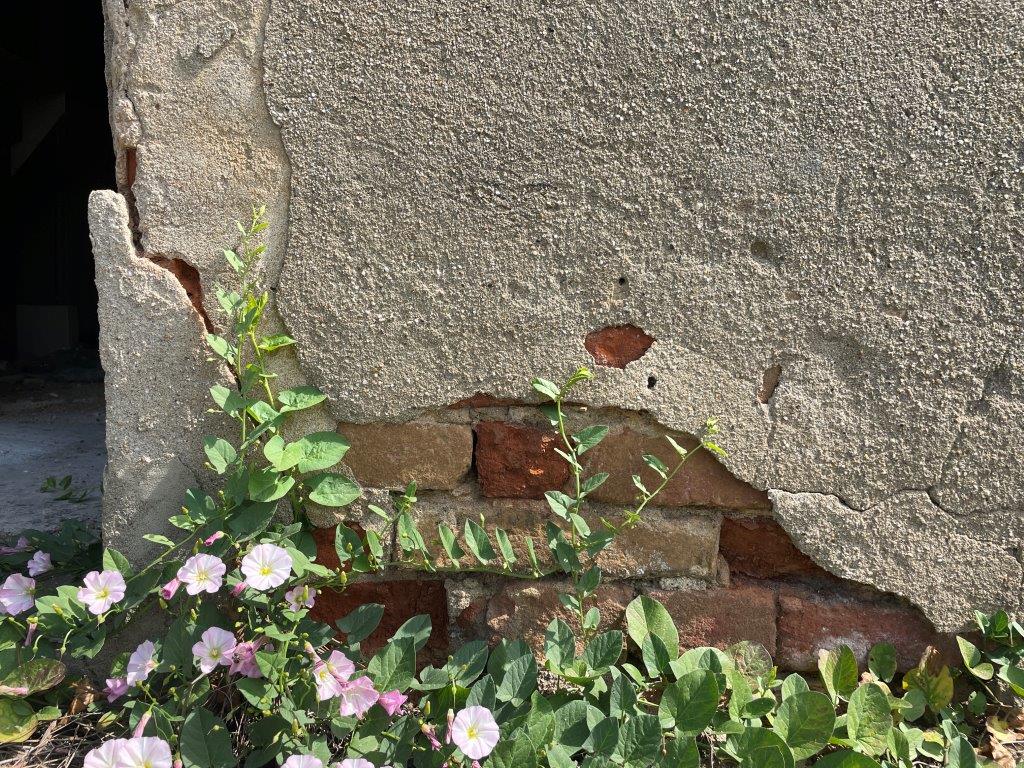 Immobiliari nel monferrato - Piedmont Houses