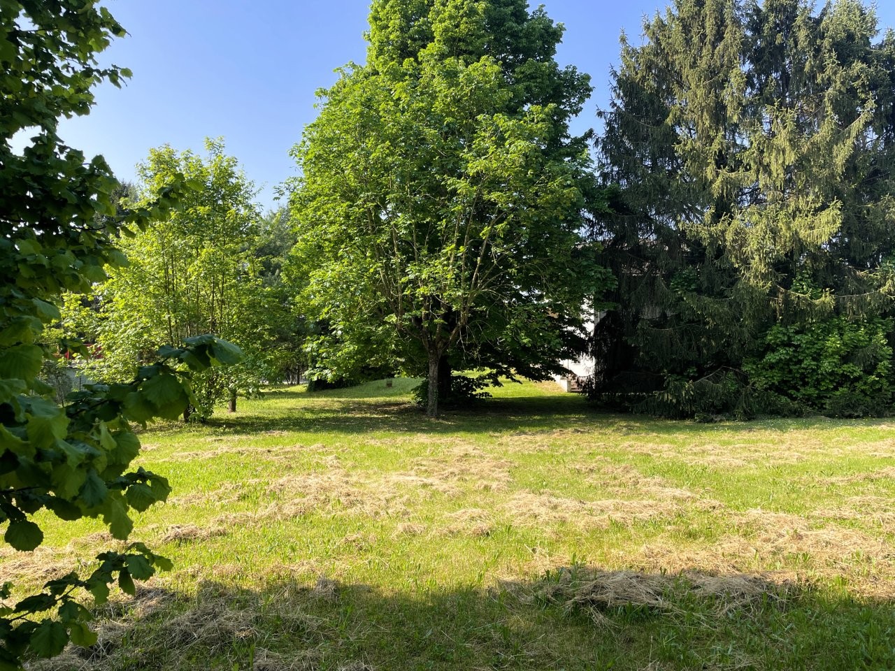 Castelnuovo Belbo