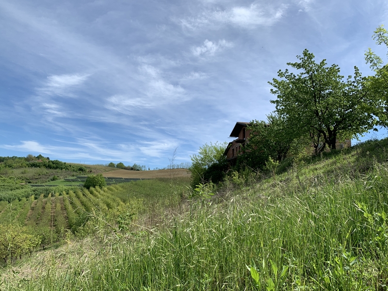 Immobiliari nel monferrato - Piedmont Houses