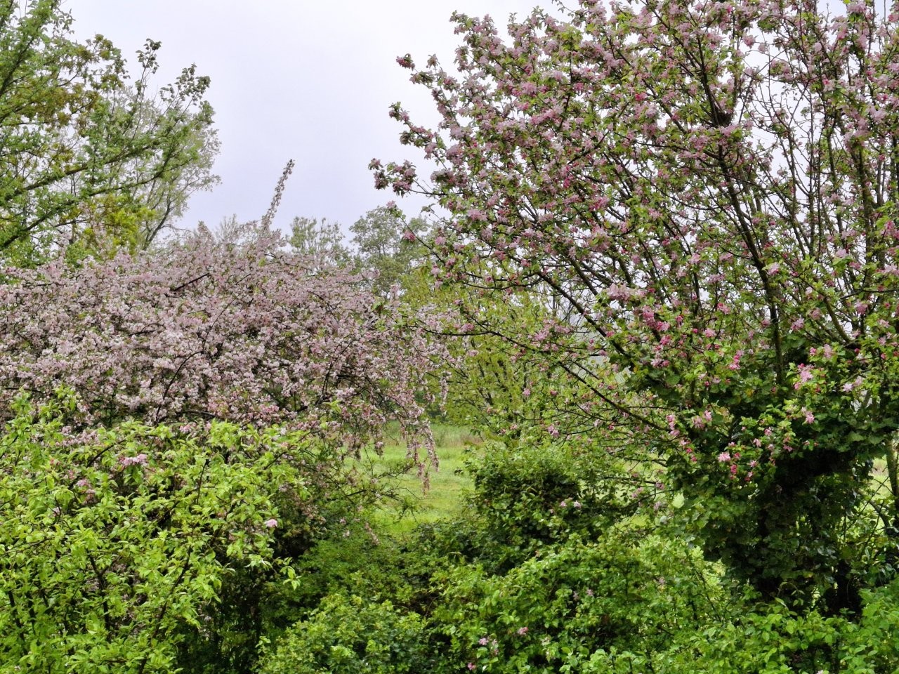Immobiliari nel monferrato - Piedmont Houses