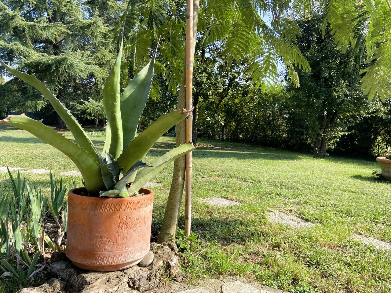 Immobiliari nel monferrato - Piedmont Houses