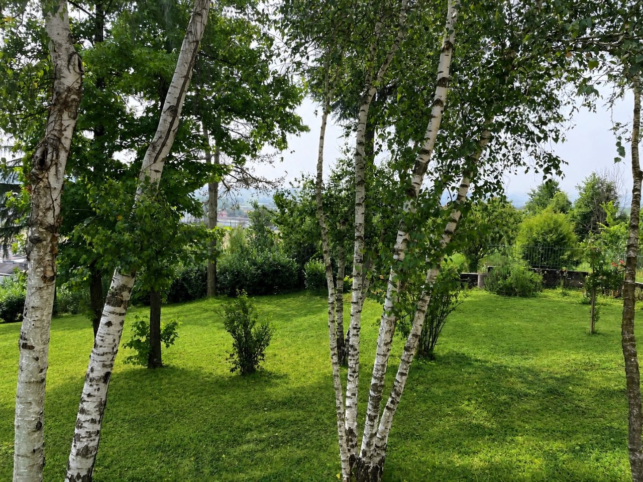 Immobiliari nel monferrato - Piedmont Houses