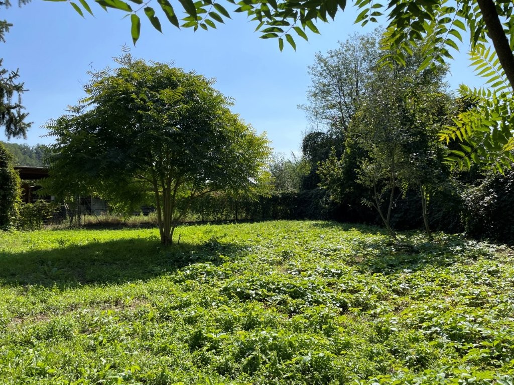 Immobiliari nel monferrato - Piedmont Houses