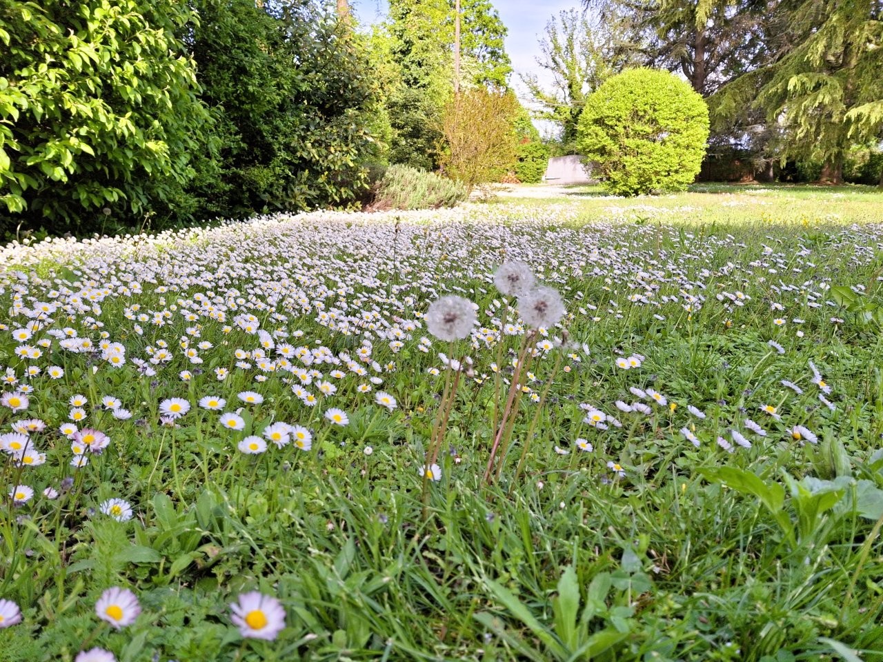 Immobiliari nel monferrato - Piedmont Houses